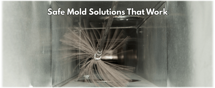 Air Duct Mold Removal in Fort Worth