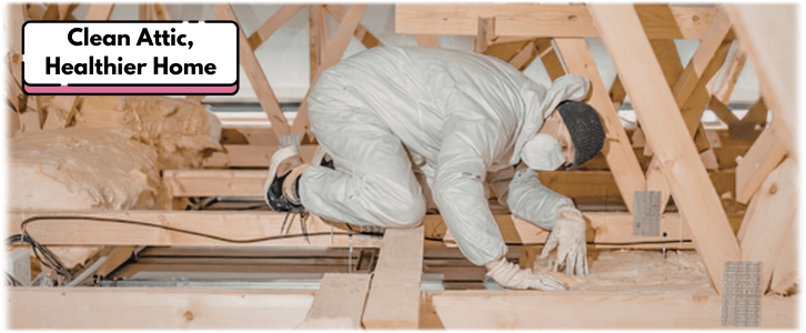 Attic Cleaning Fort Worth
