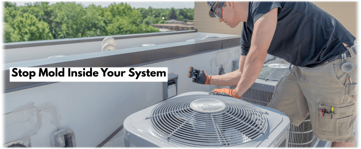 HVAC Mold Removal Fort Worth